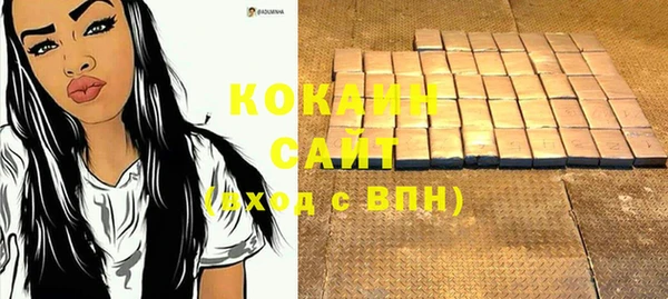 сатива Белокуриха