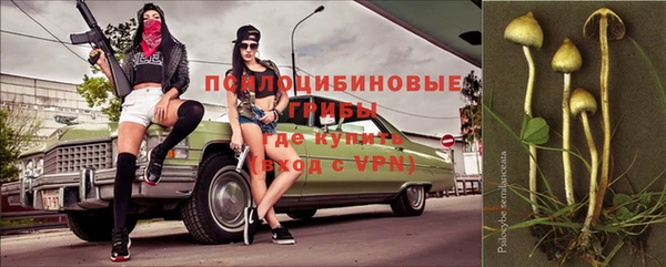 сатива Белокуриха