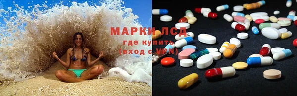 сатива Белокуриха