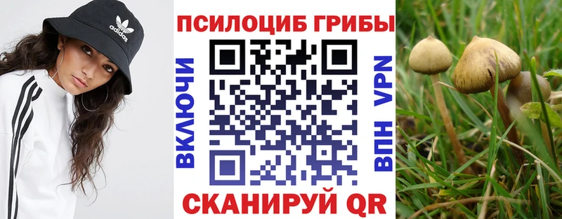 кракен вход мориарти какой сайт Гай Псилоцибиновые грибы Cubensis купить