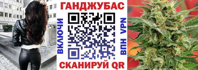 где купить Гай Бошки Шишки ГИДРОПОН